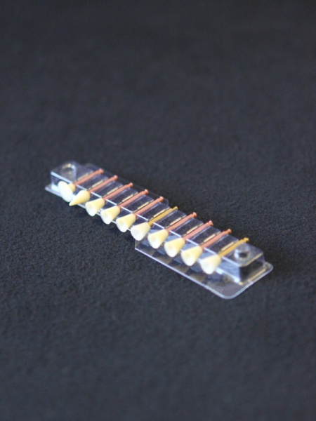 Блистер-держатель зубных боров