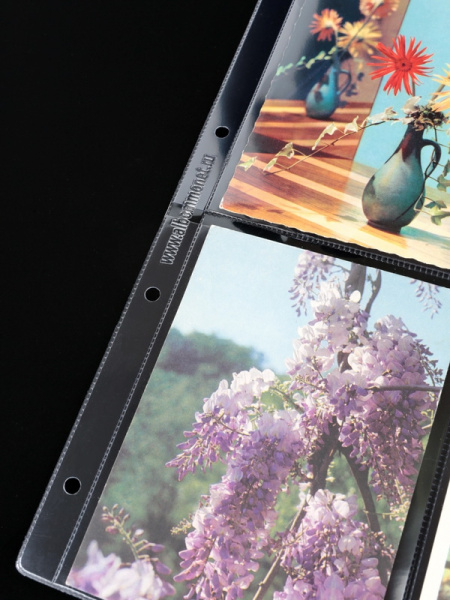 Лист-обложка ГРАНДЕ (Россия) (250х311 мм) из прозрачного пластика на 4 ячейки (110х145 мм). Standart. Albommonet, ЛБГВ4