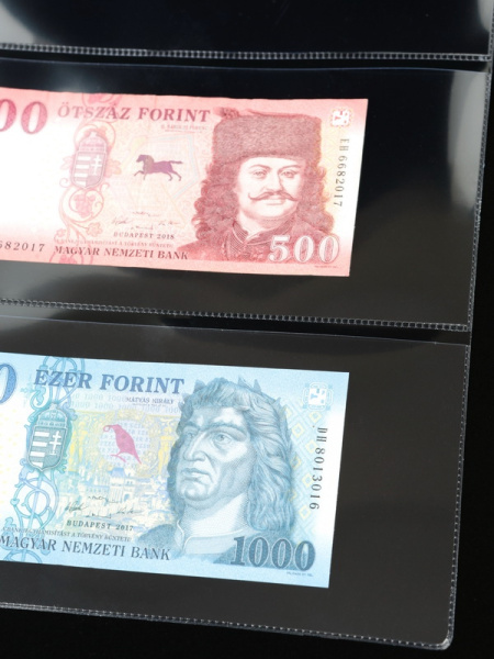 Лист-обложка ГРАНДЕ (Россия) (250х311 мм) из прозрачного пластика на 3 ячейки (225х93 мм). Professional. Albommonet, ЛБГ3