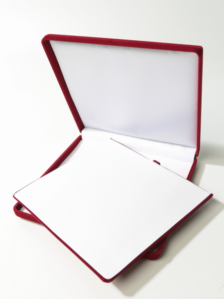 Футляр (165х165х27 мм) с универсальным ложементом, светло-бордовый