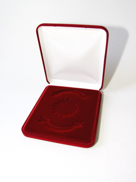 Флокированный футляр (191х221х44 мм) под орден и 2 шильда