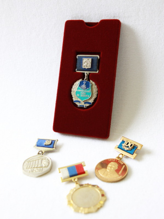 Вставка «Моя коллекция Standart» универсальная под медаль с колодкой. Вид 3