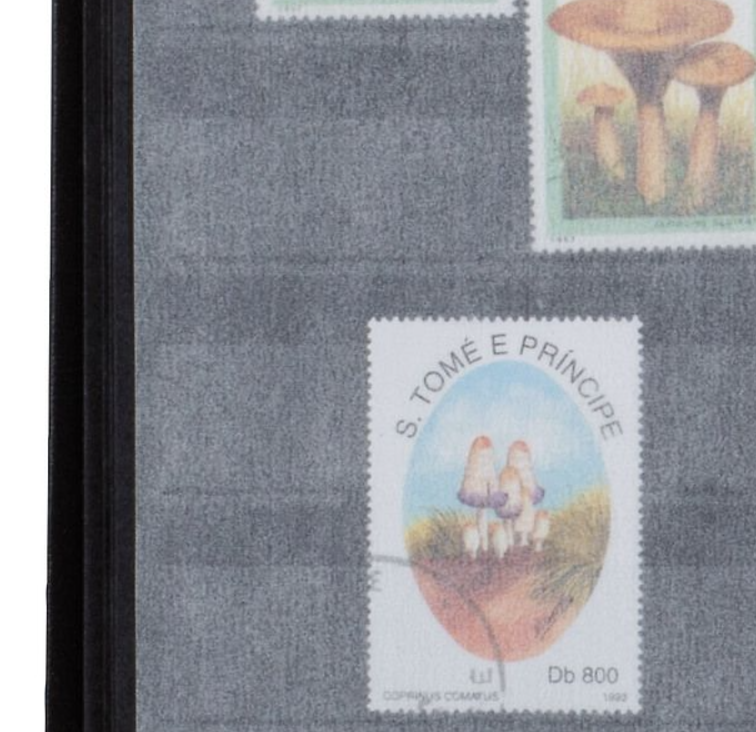 Промежуточные листы из пергамина