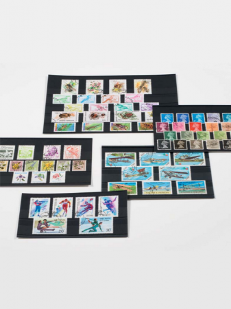 Планшеты Standard PS для марок (карточки-кулисы) 148х85 мм, 2 клеммташе (в упаковке 100 шт). С защитной плёнкой. Leuchtturm, 334076